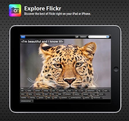 Нажми Explore, иди на Flickr!