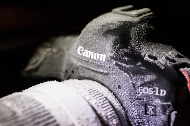 Canon EOS-1D X не фокусируется на морозе